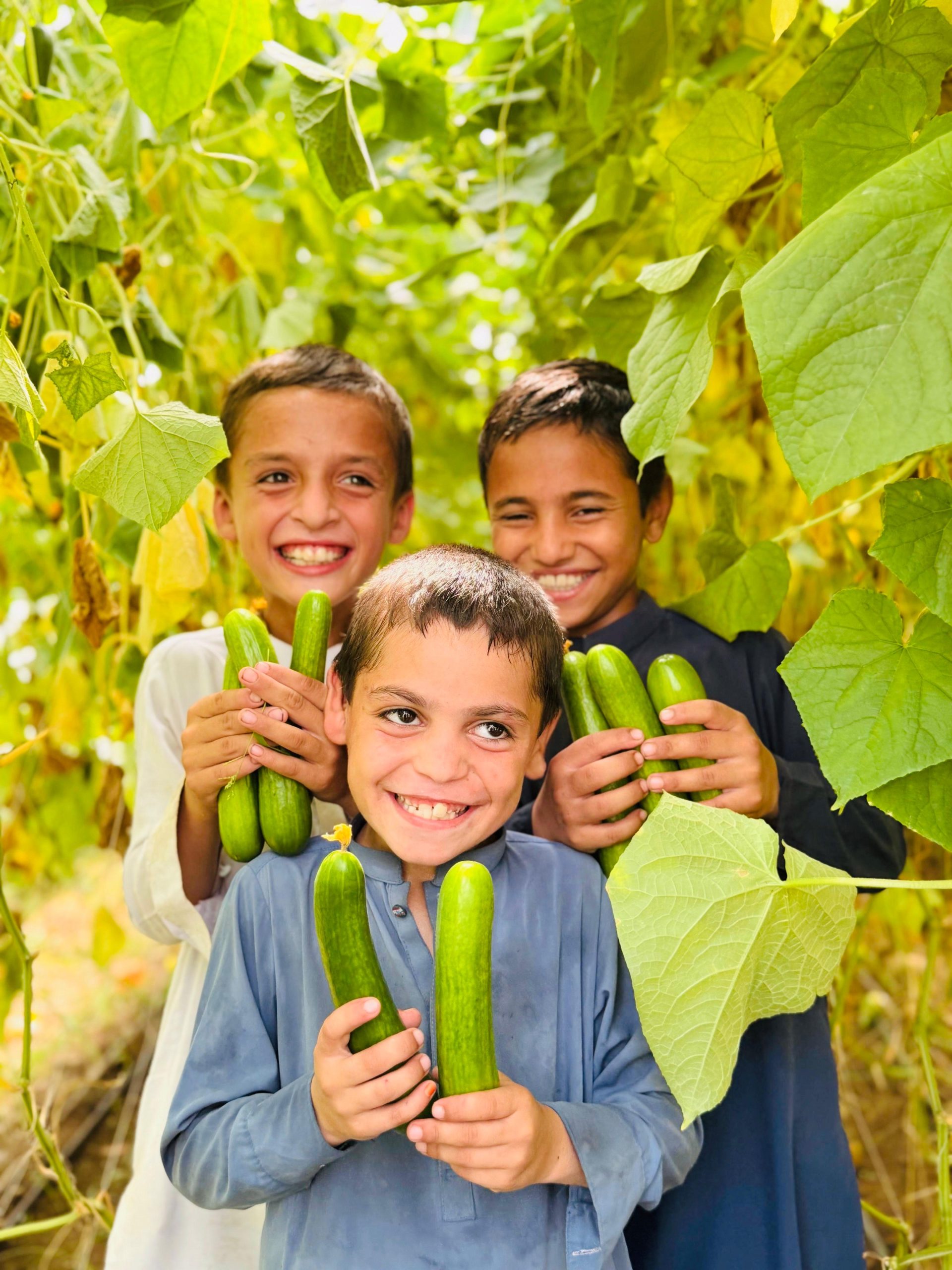 Agriculture Project